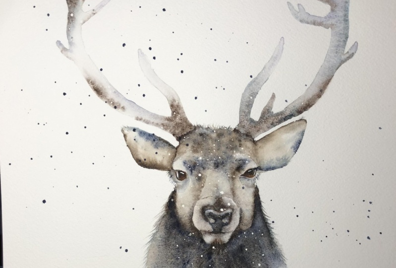 Festive Stag