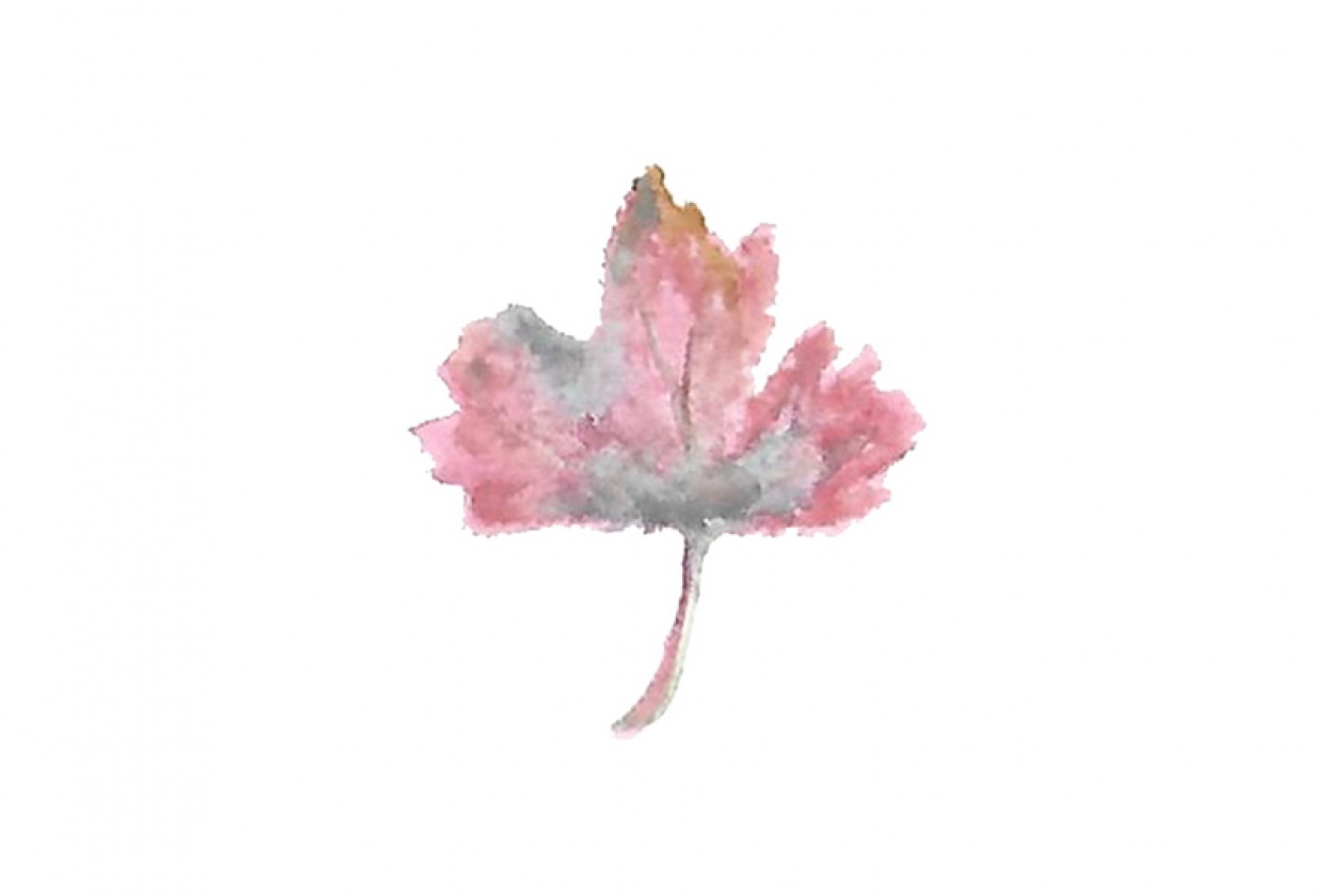 Leaf selections - student project
