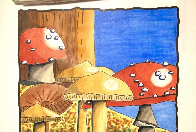 Markers