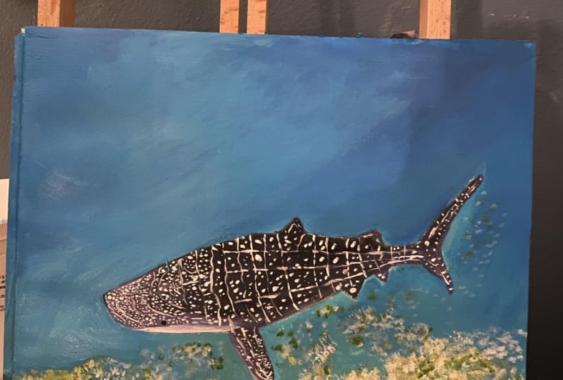Whale shark
