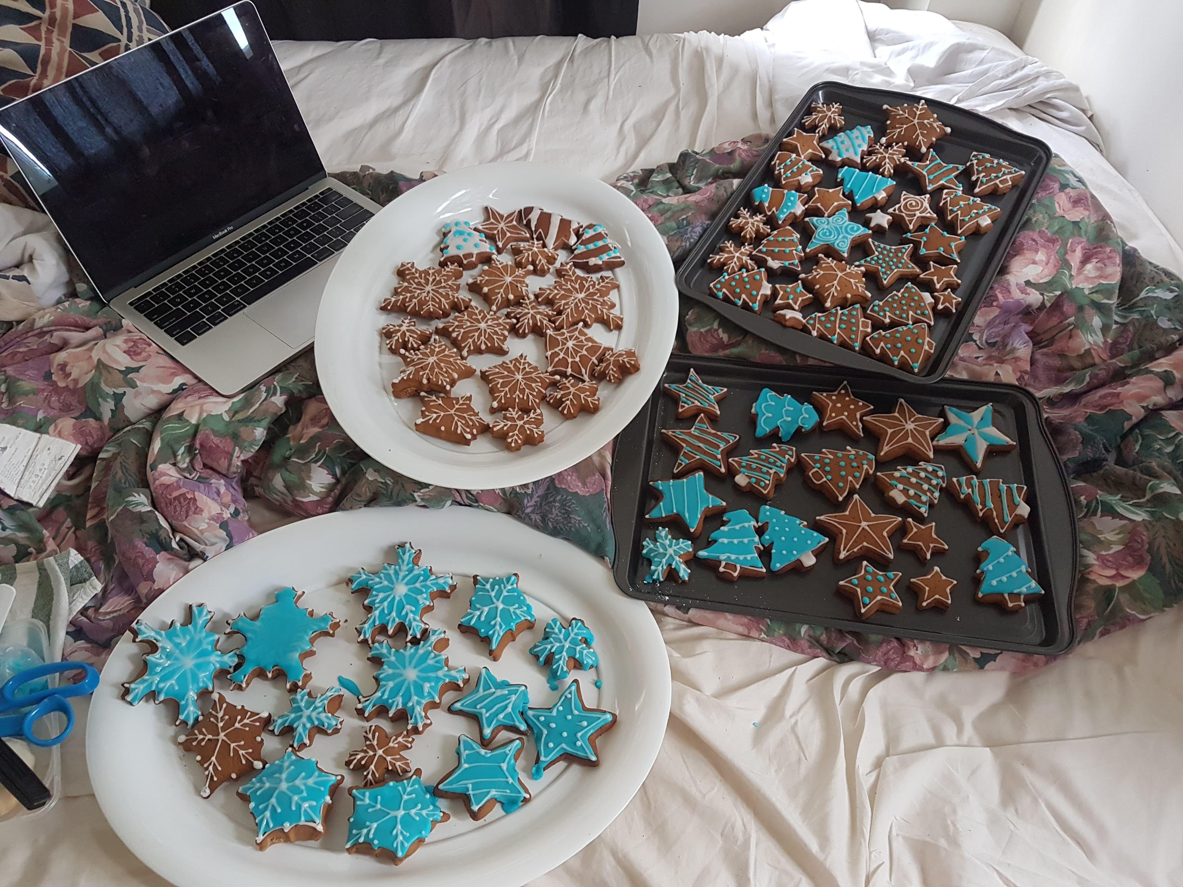Janna's Christmas Cookies - student project