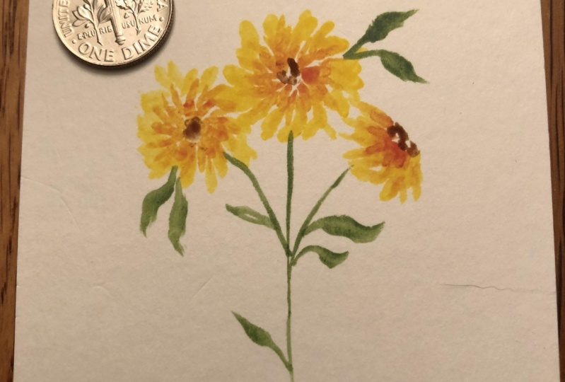 Miniature Marigolds