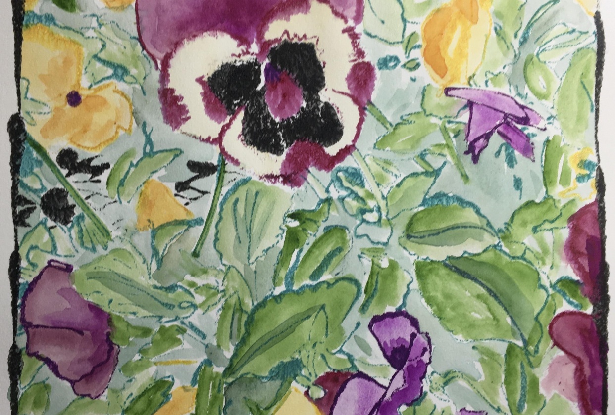 Pansy Garden - student project