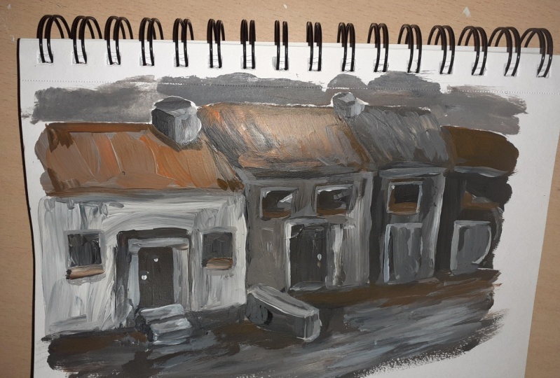 Irish houses / Red Mug