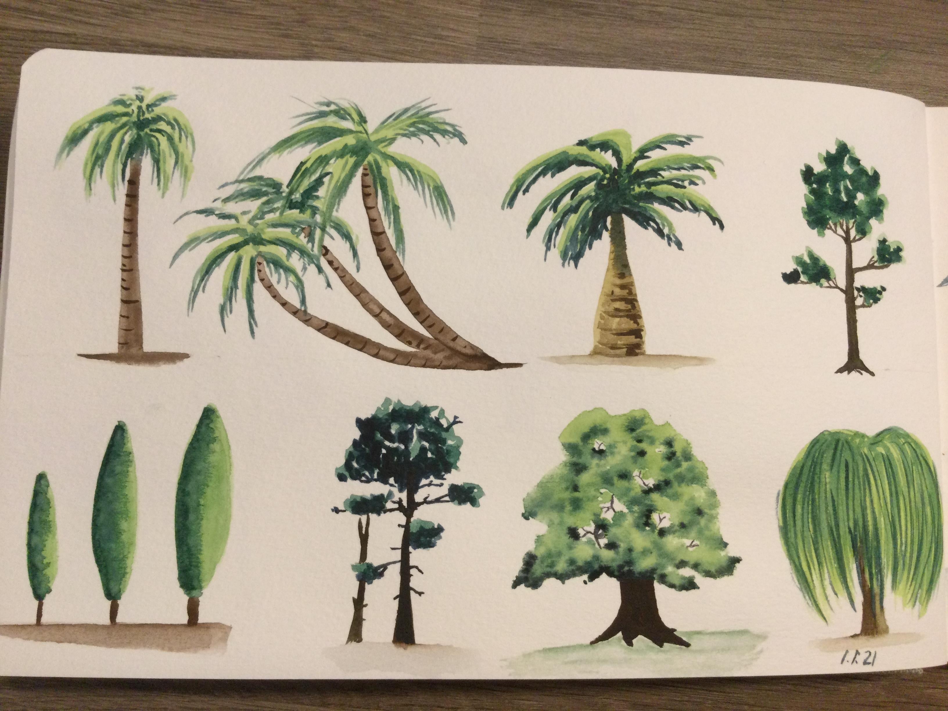 more-projects-from-class-img
