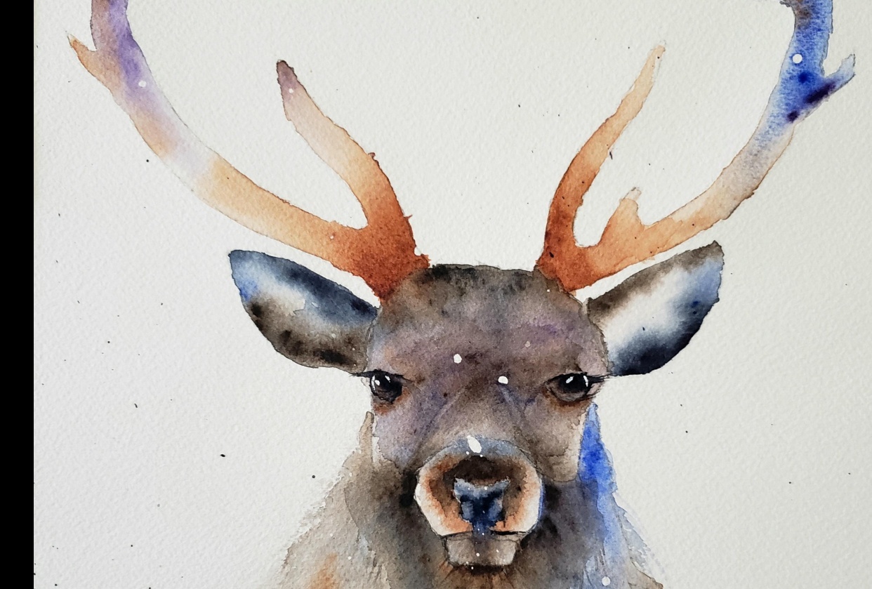 A festive Stag - student project