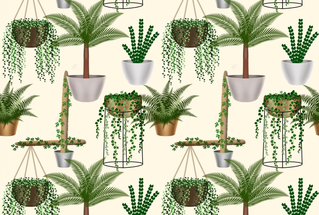 House Plants Seamless Pattern - student project