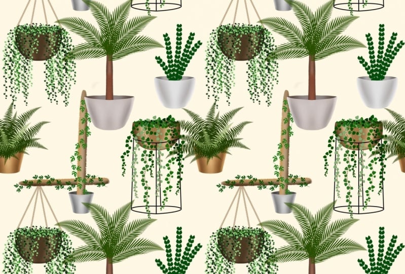 House Plants Seamless Pattern