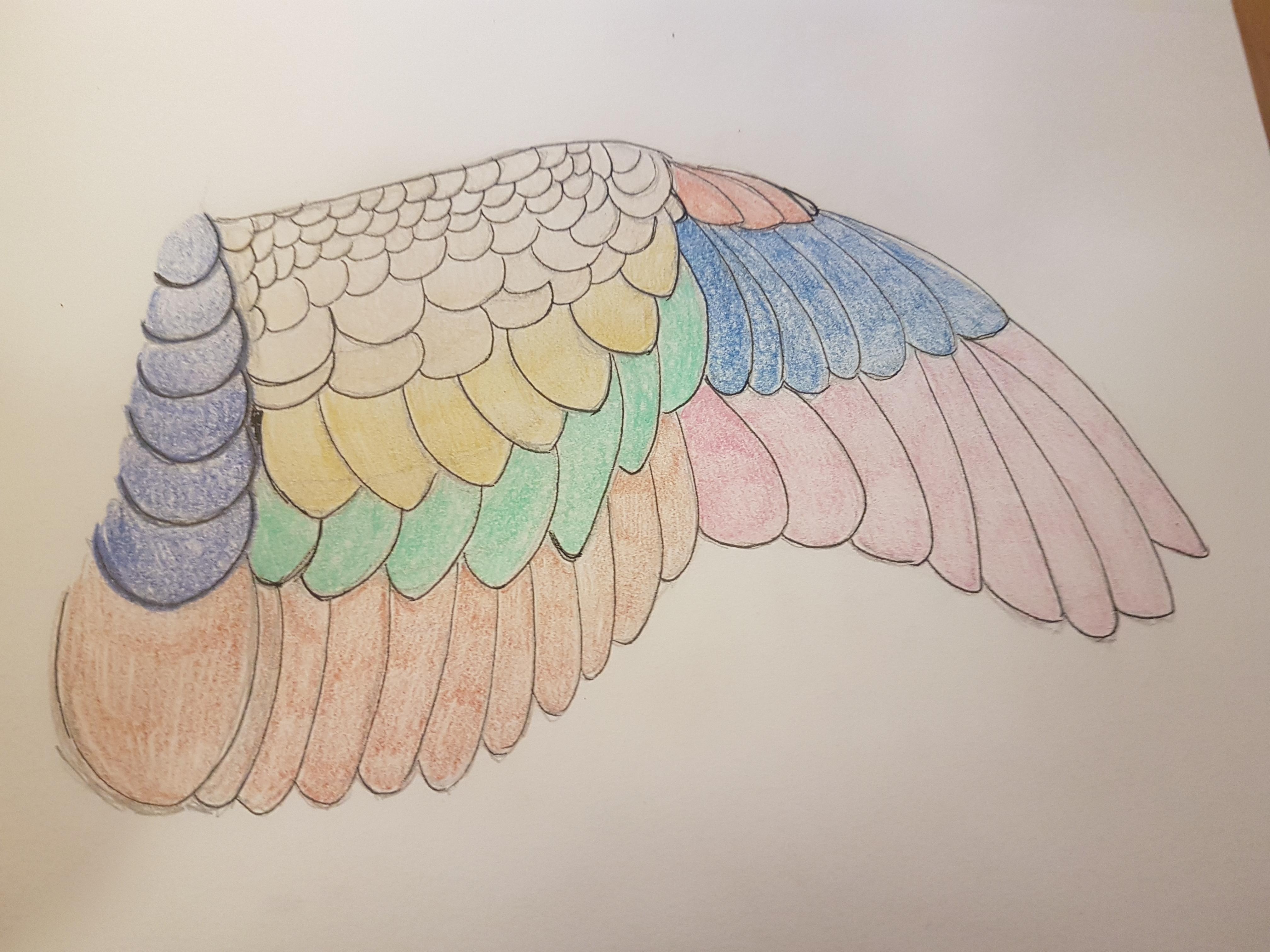 more-projects-from-class-img