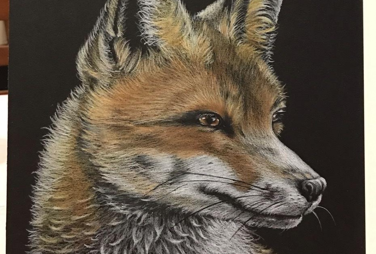 Foxy Loxy - student project