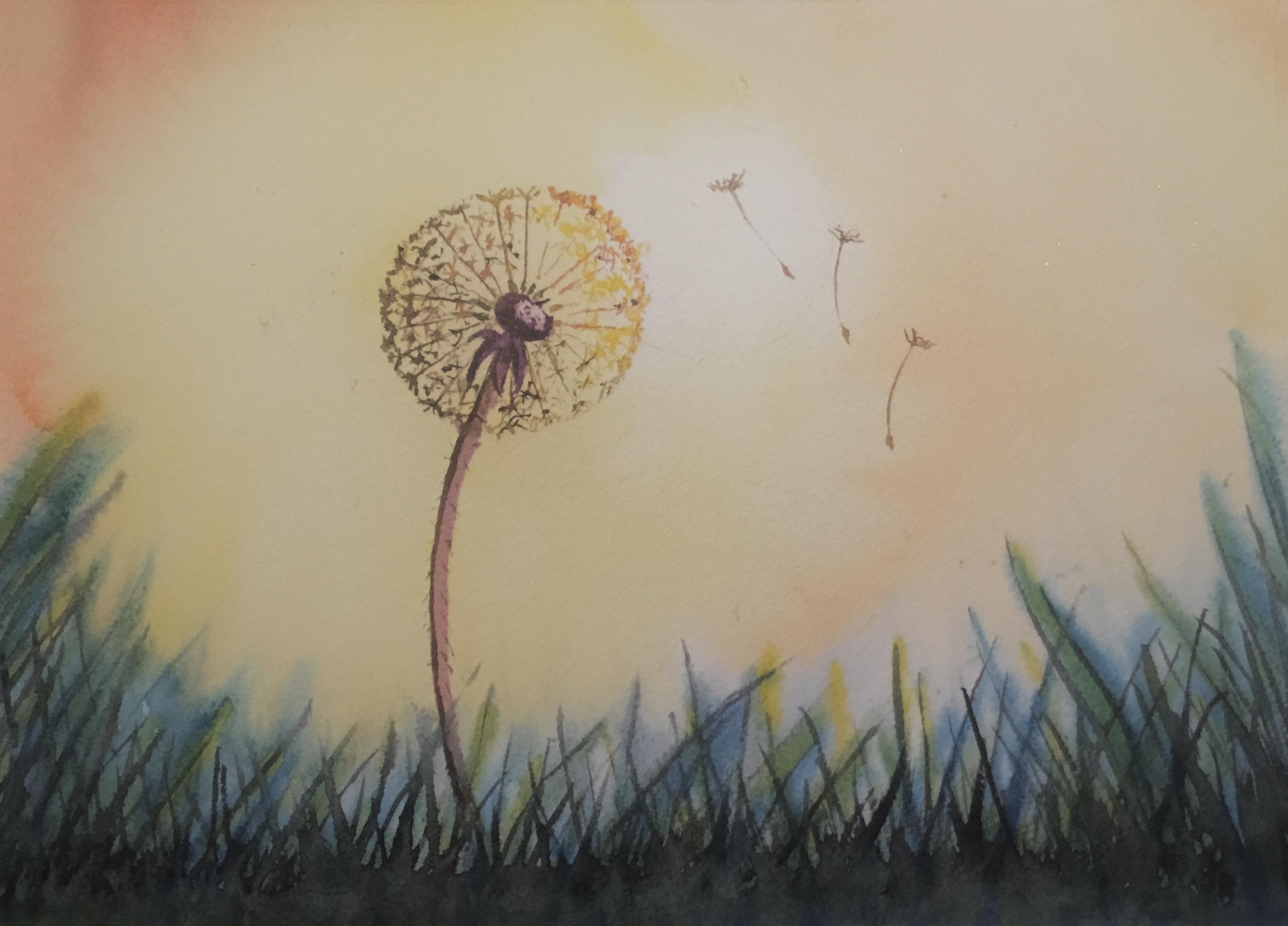 Dandelion - student project