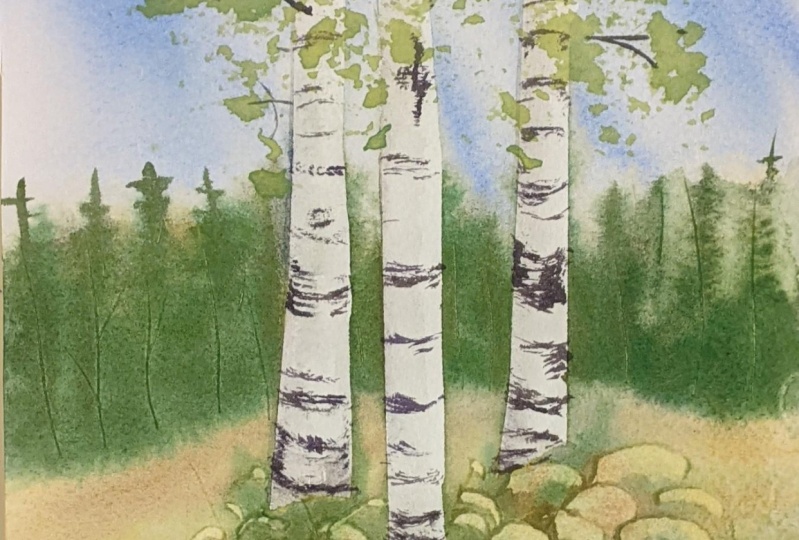 Birch trees