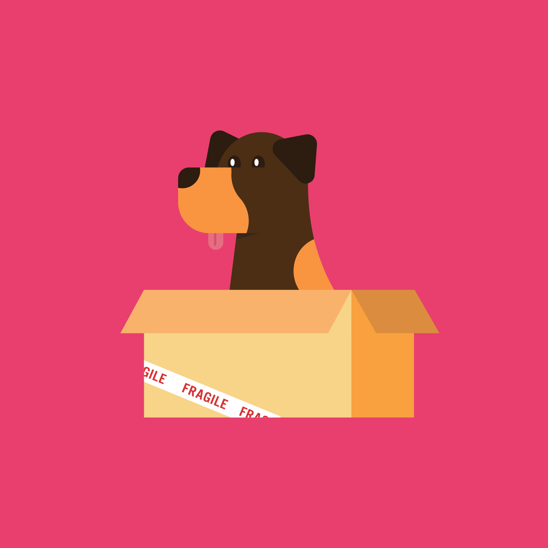 Doberman in a Box - student project