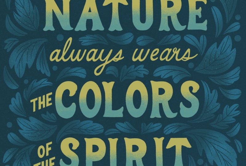 Hand Lettering & Illustration