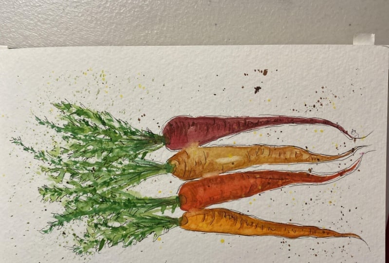 Carrots in color