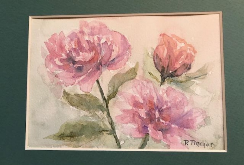 Peonies