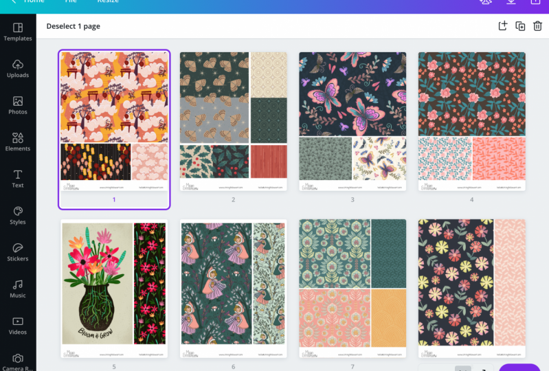 Surface Pattern Designs and Illustration Portfolio