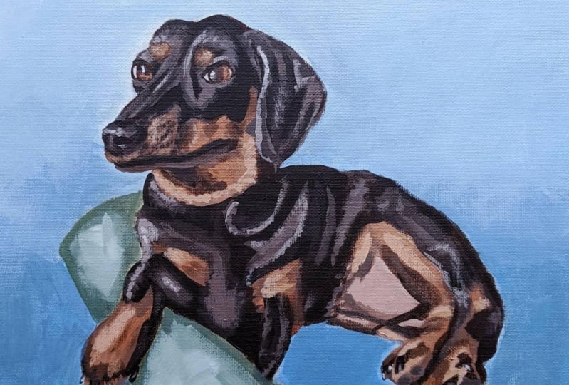 My Miniature Dachshund