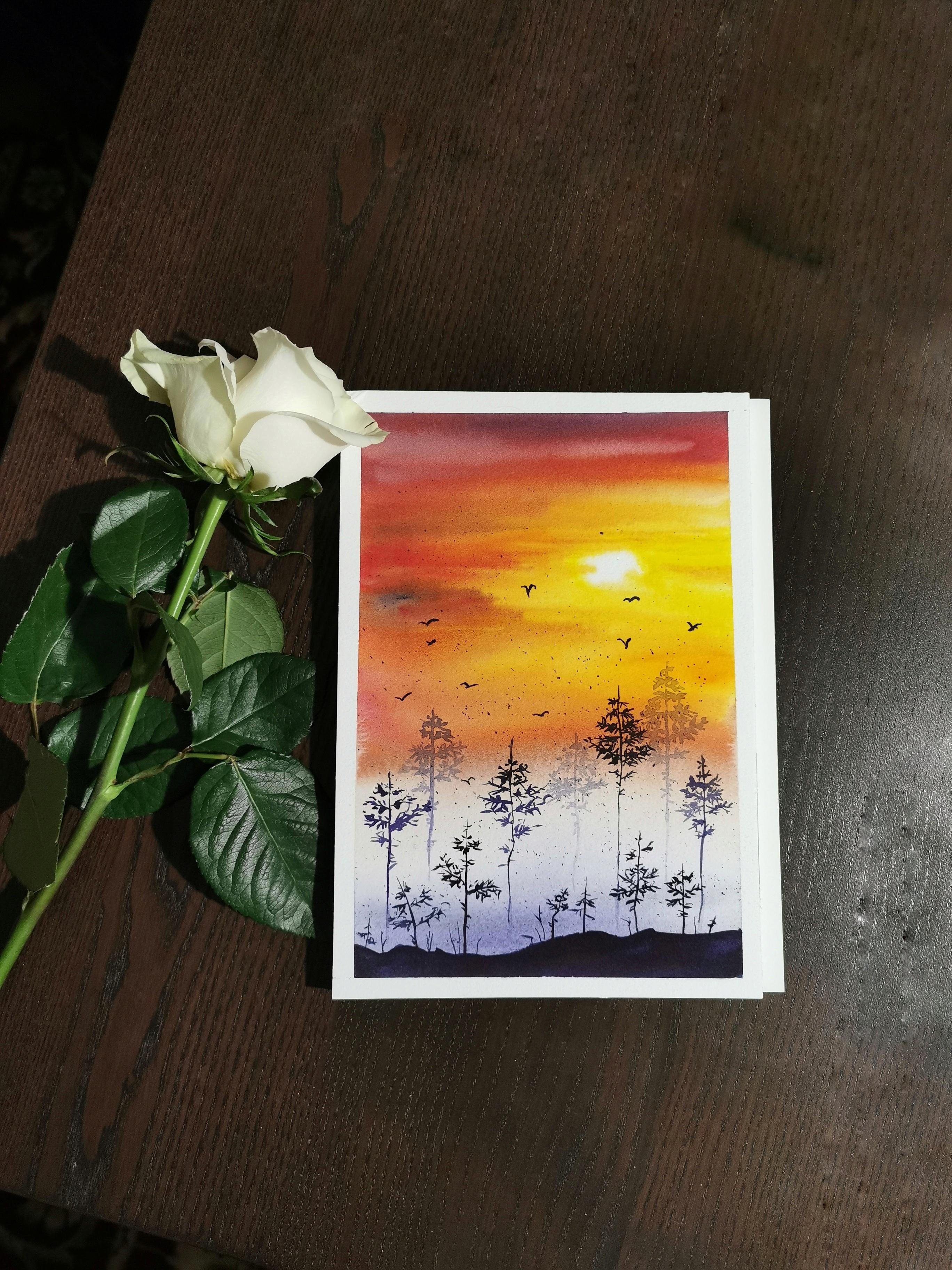 Misty forest in sunset - student project