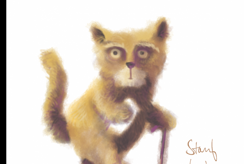 Old cat