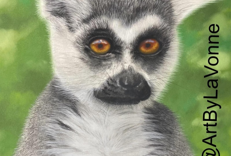 Cute Little Lemur