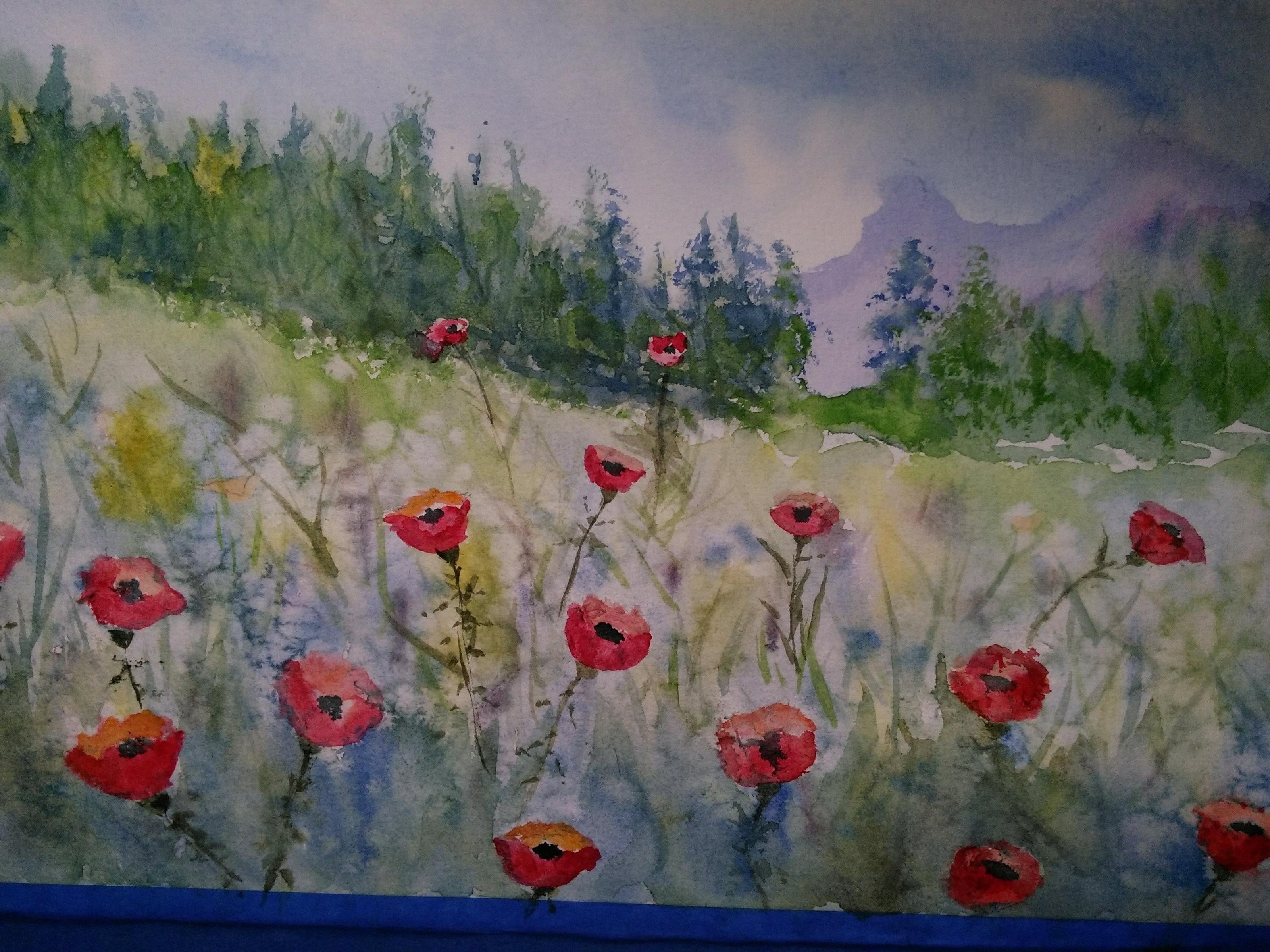 Wildflower meadow - student project