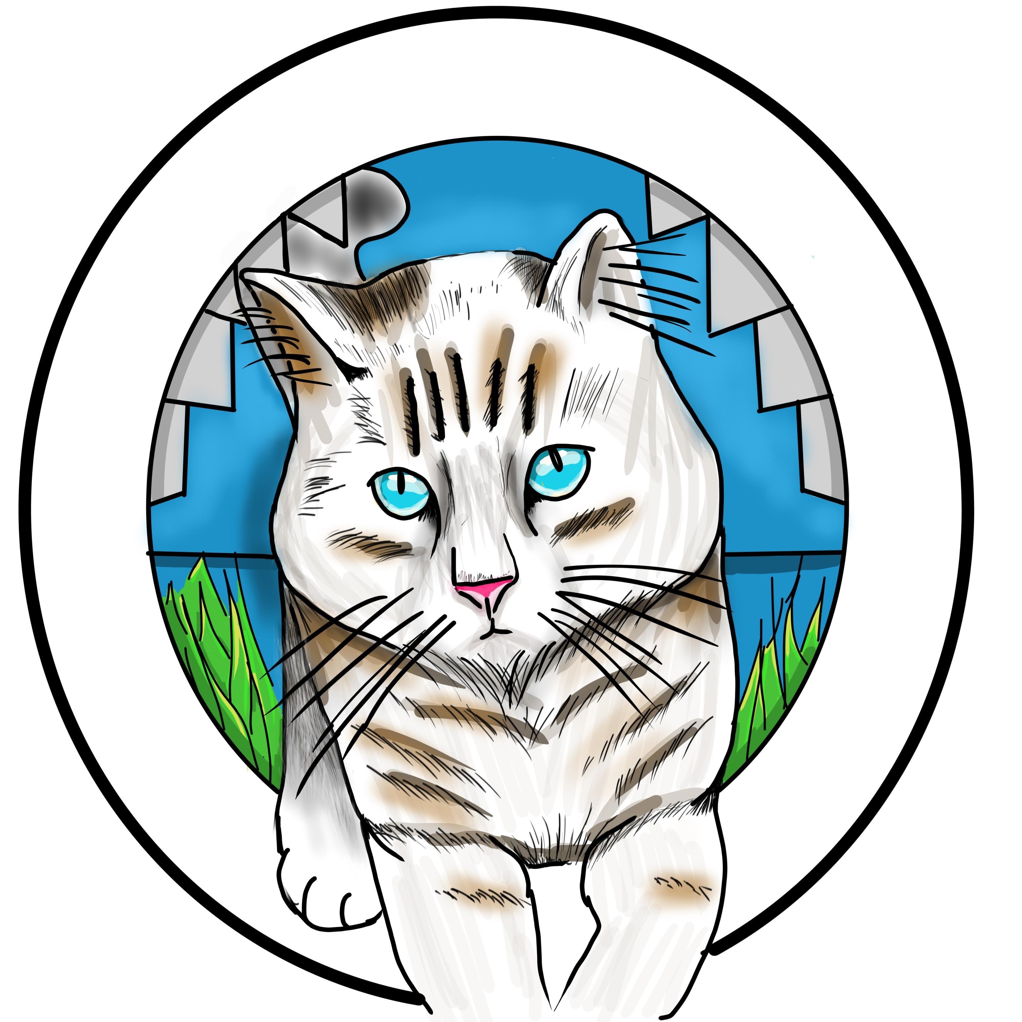 more-projects-from-class-img