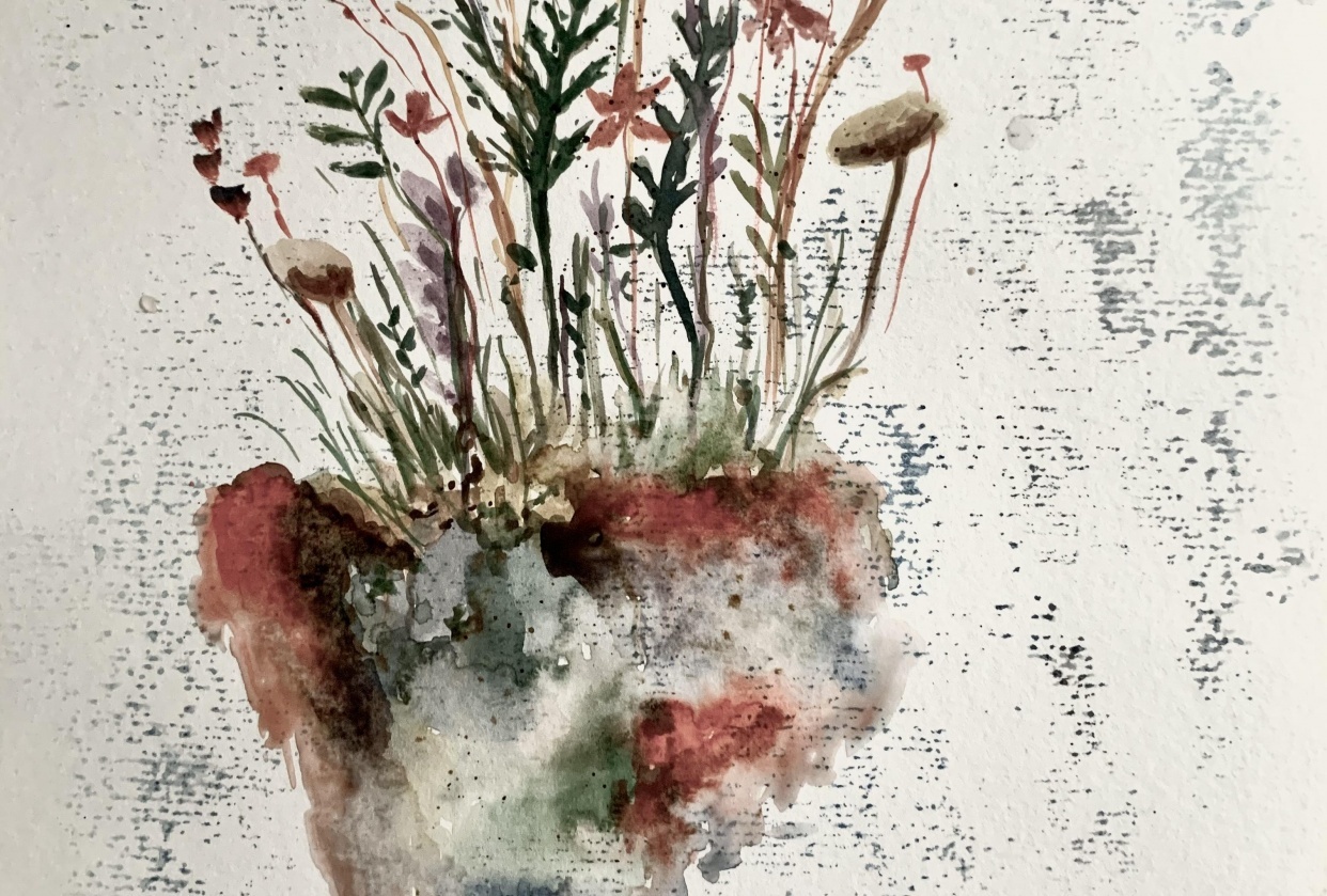 Giant flowers on a tiny rock - student project