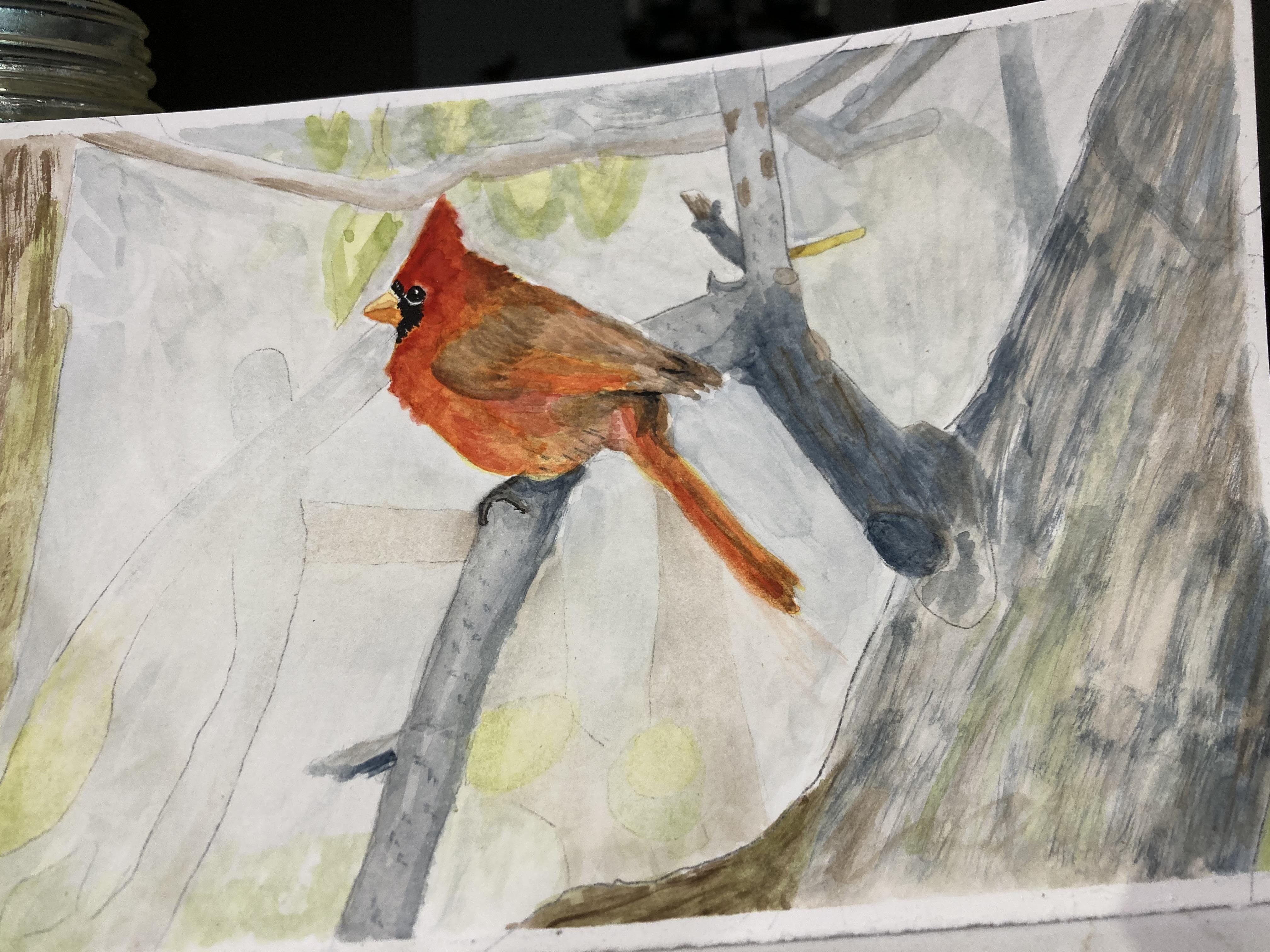 more-projects-from-class-img