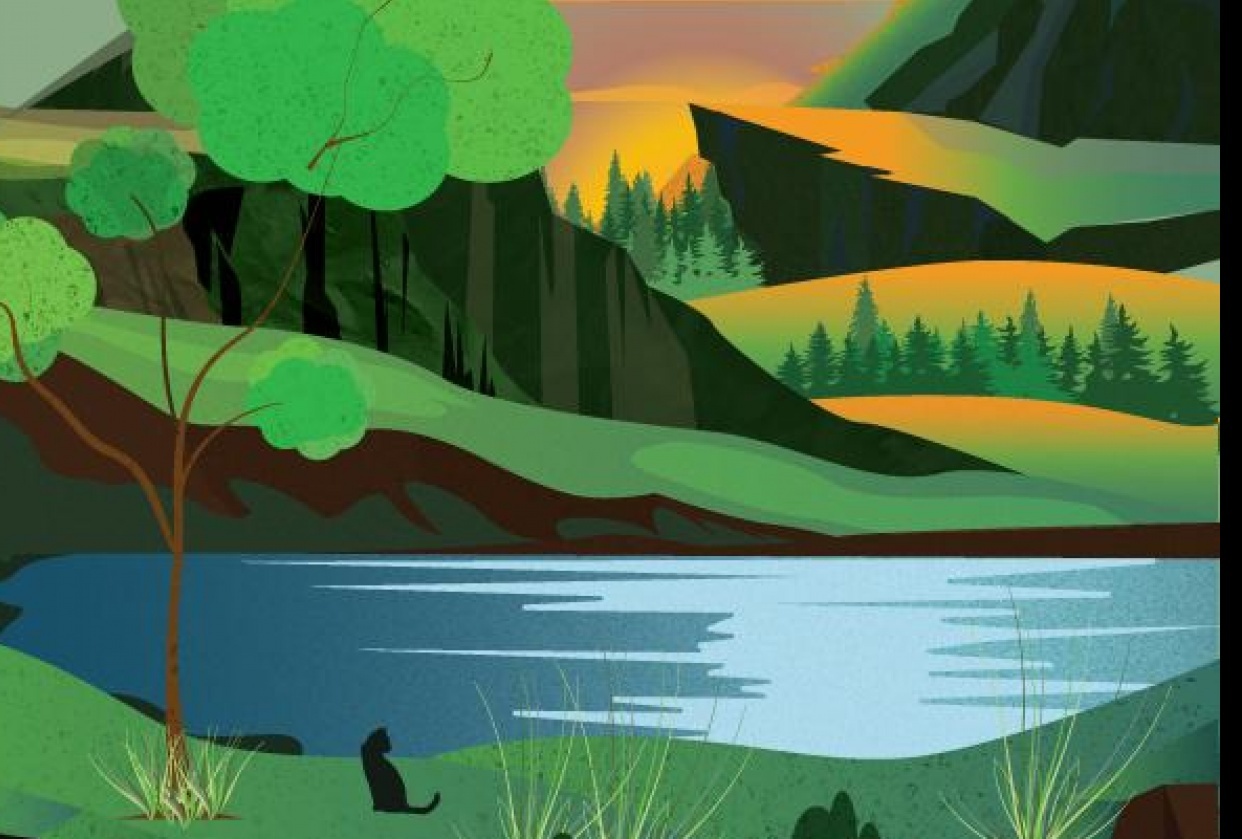 The Cat Wonderer Story - student project