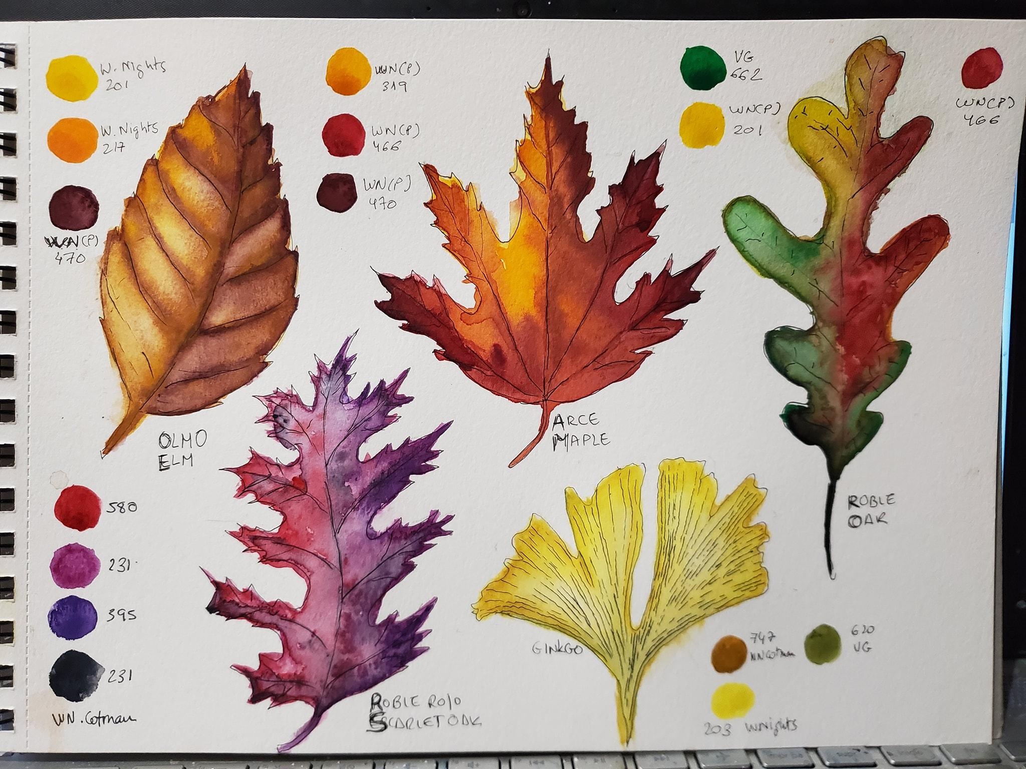 more-projects-from-class-img