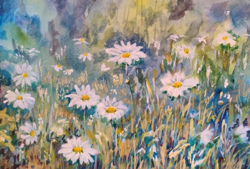 Daisies