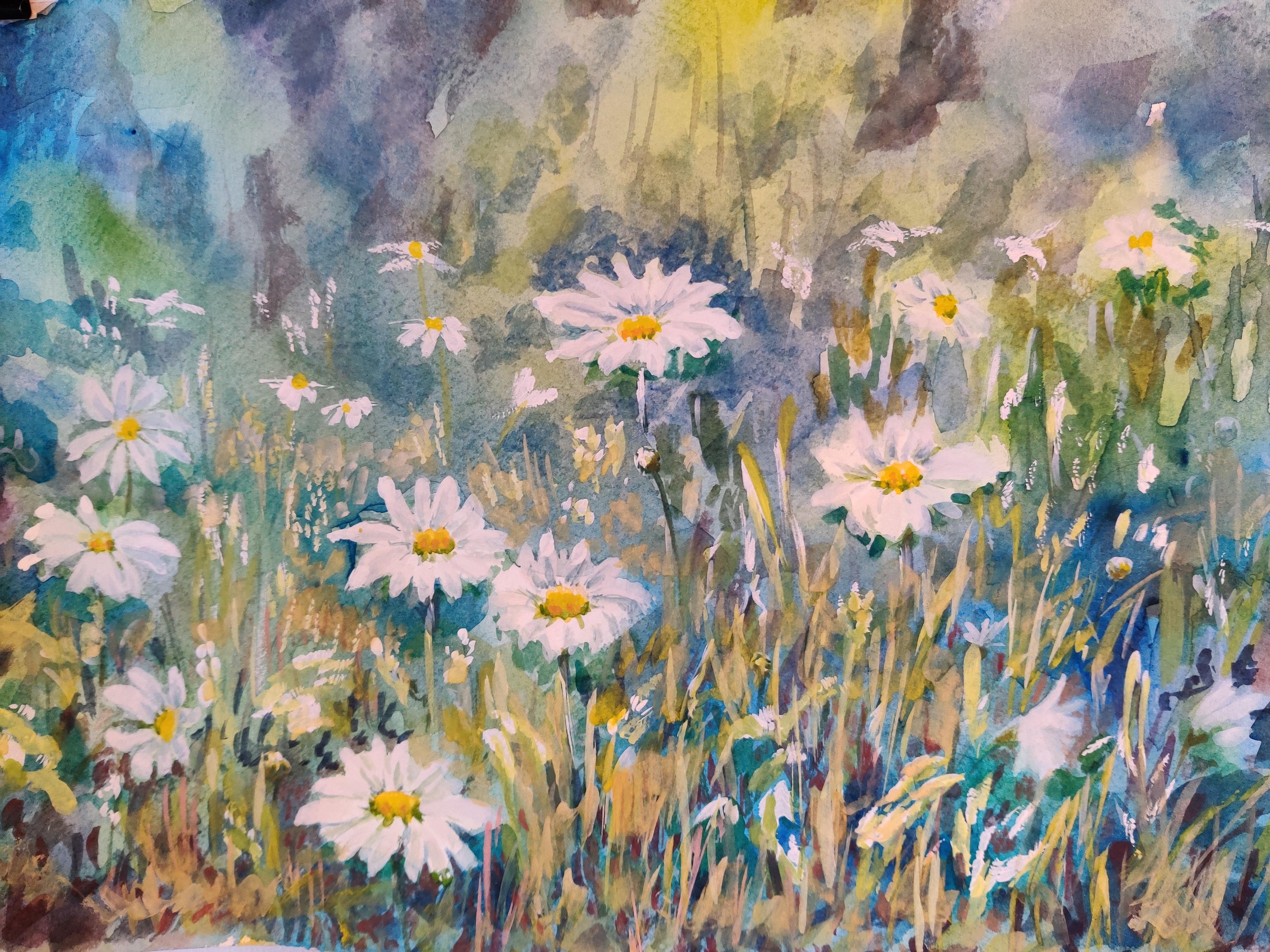 Daisies - student project