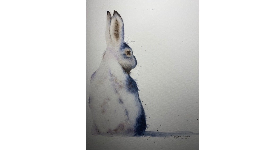 Snow Hare - student project