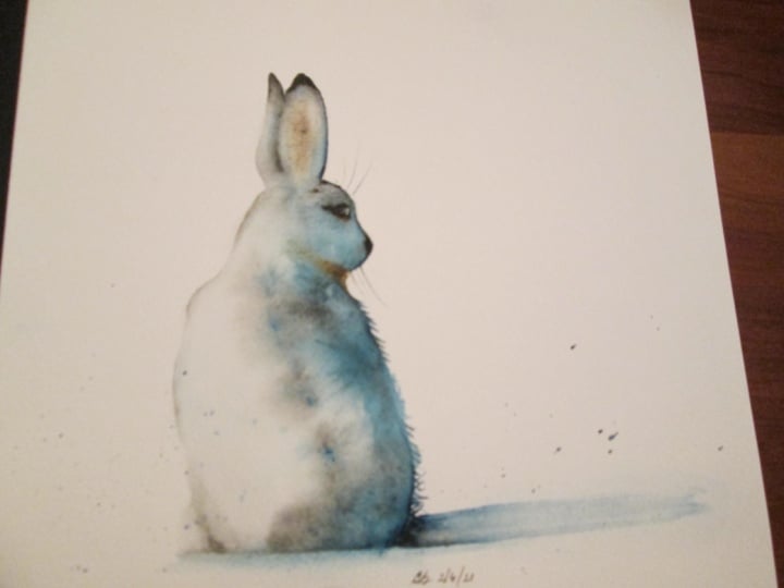 Snow Hare