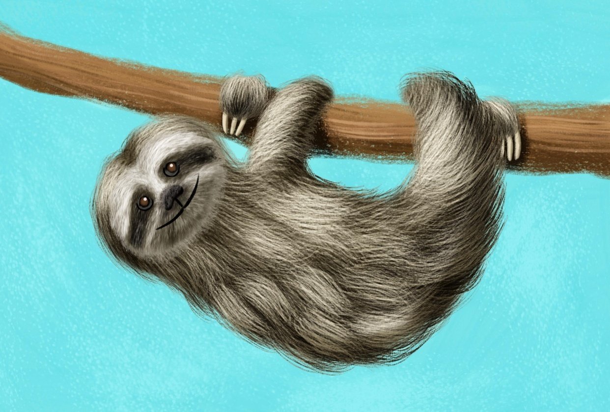 Furry Animal Illustrations! - student project