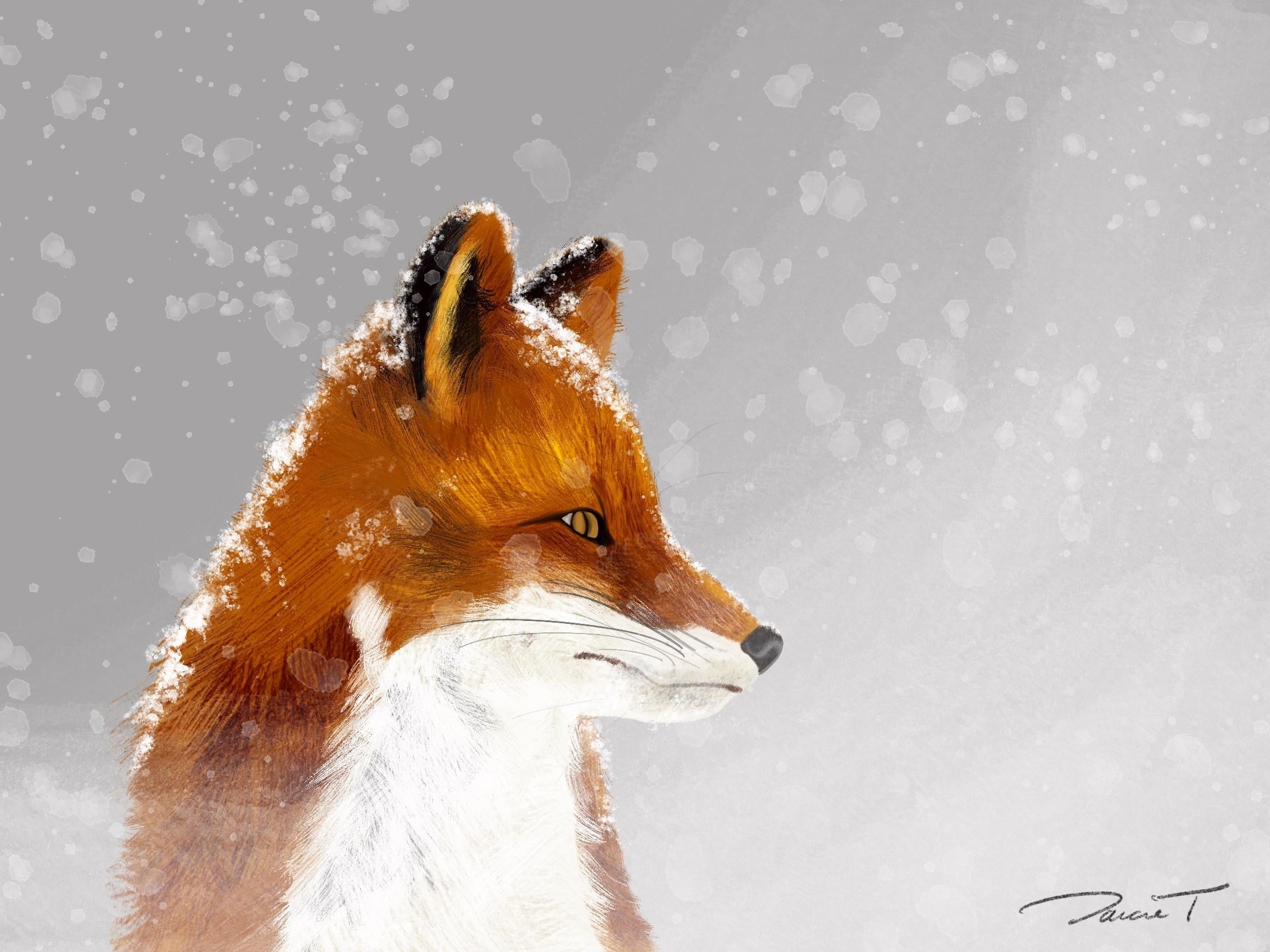 Fox & Flurries - student project
