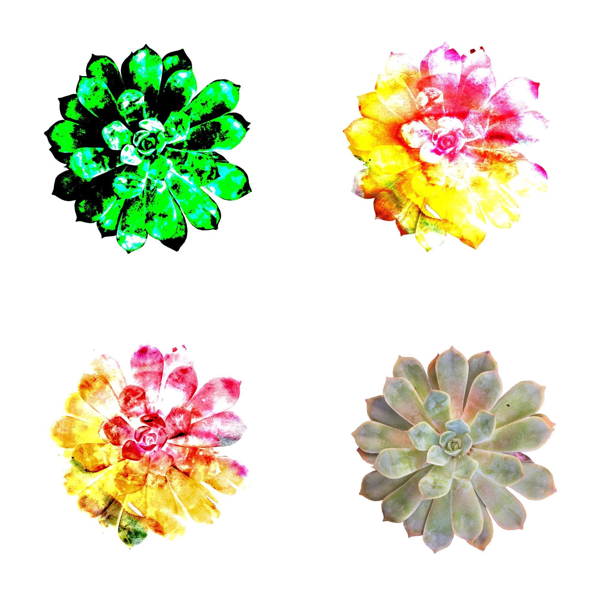 more-projects-from-class-img
