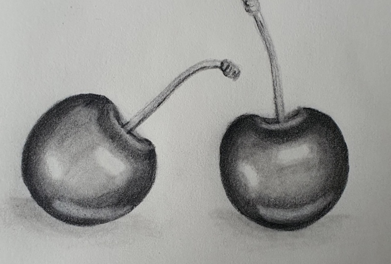How to Draw Realistic Cherries Jasmina Susak Skillshare