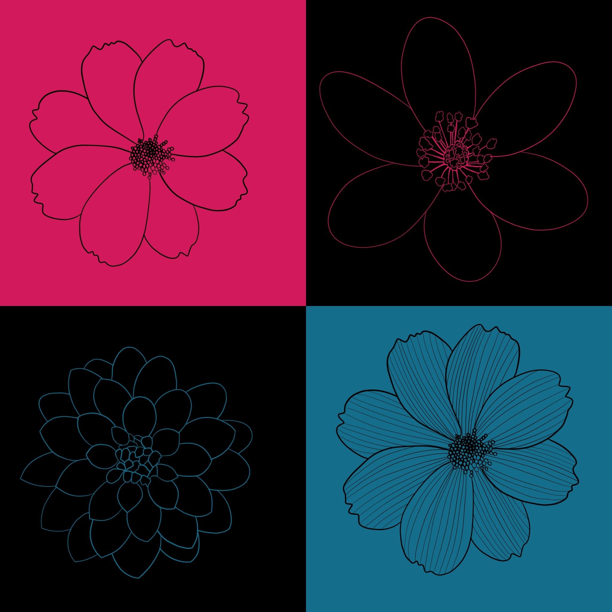more-projects-from-class-img