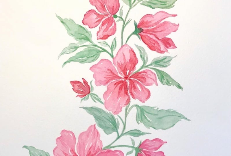 Hibiscus