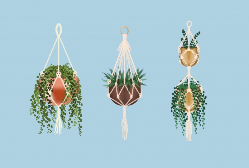 Macramé Plants