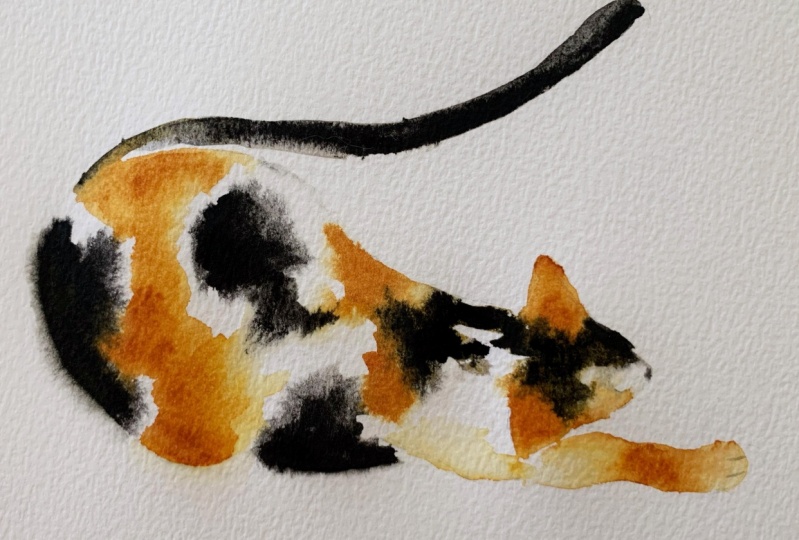 Calico cats