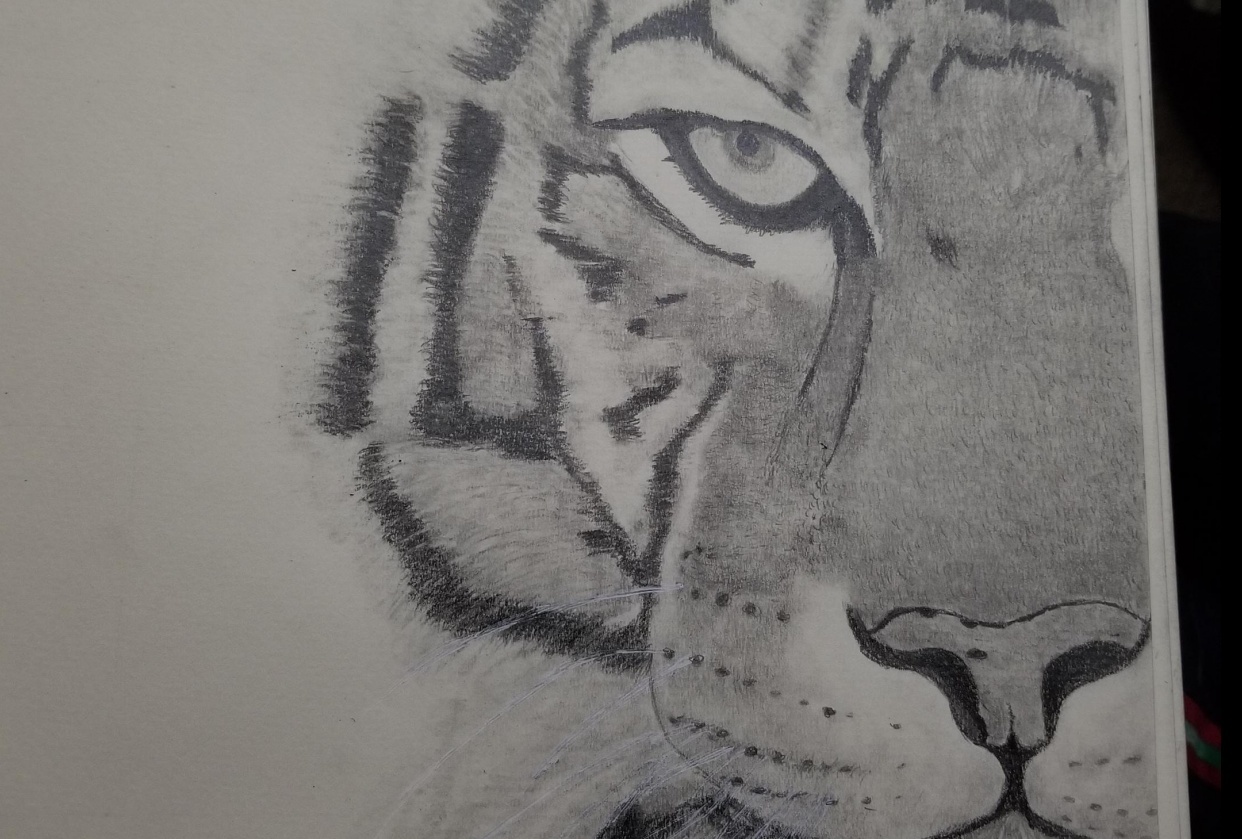 kitty graphite pencil - student project