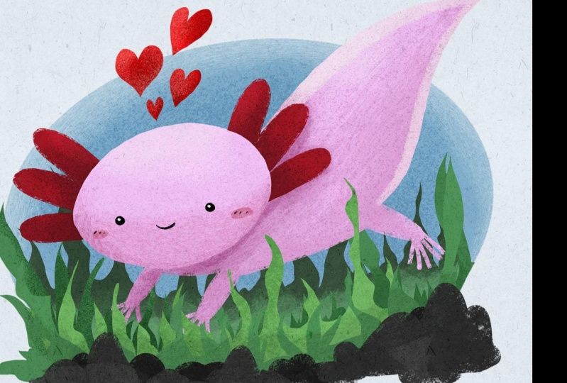 Yet Another Axolotl