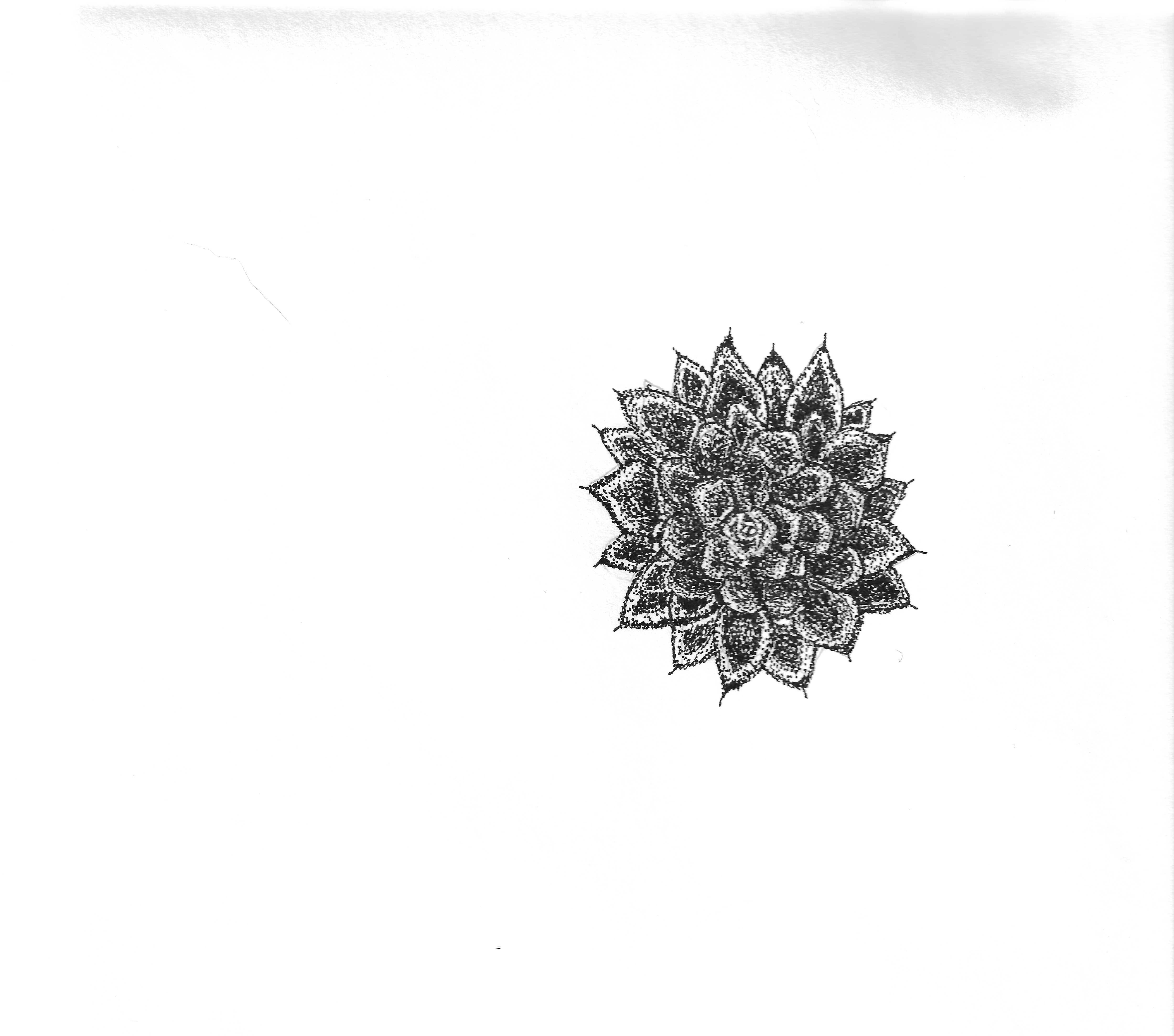 more-projects-from-class-img