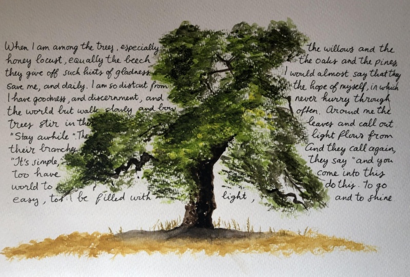 Tree - Mary Oliver