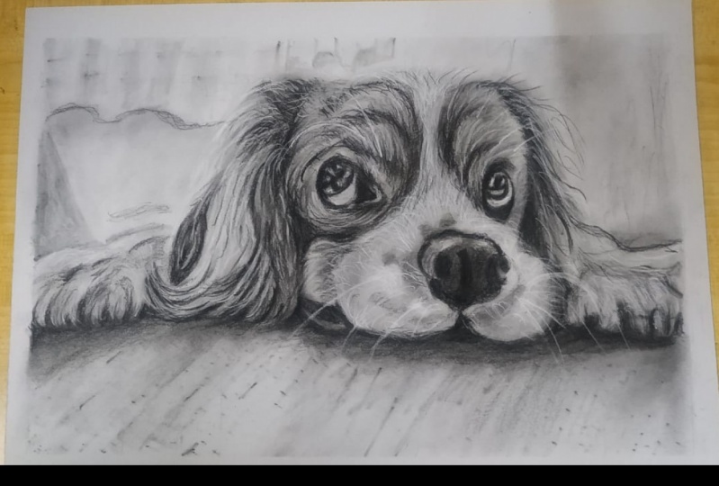 Pup