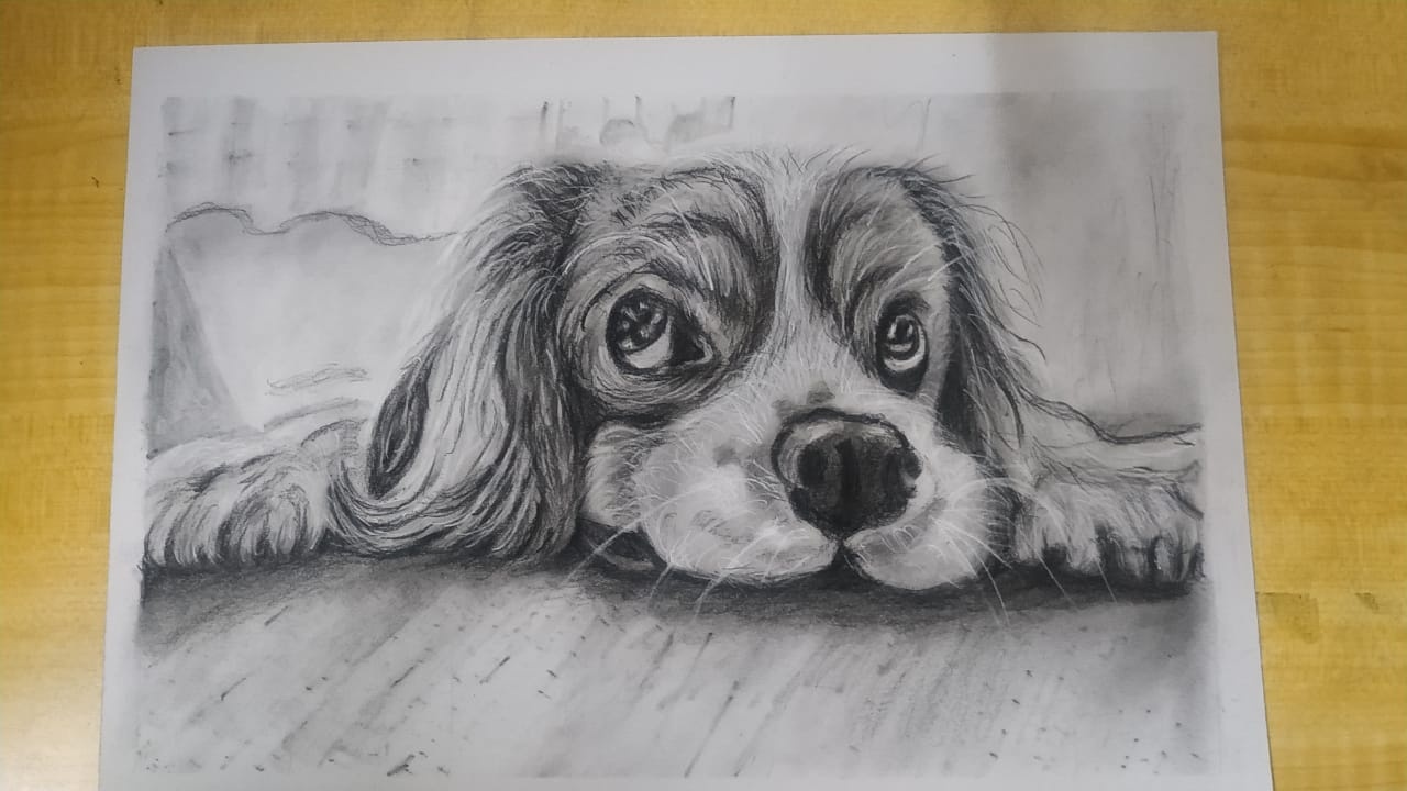Pup - student project