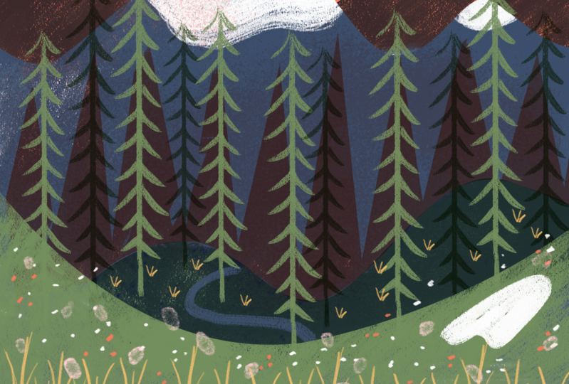 Alpine & Camping